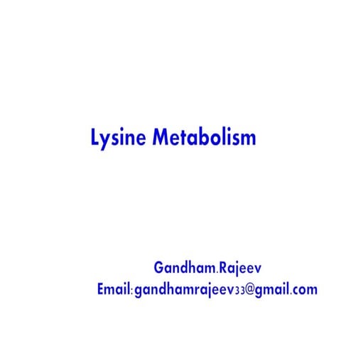LYSINE METABOLISM
