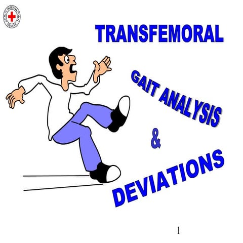 Transfemoral Gait Deviations