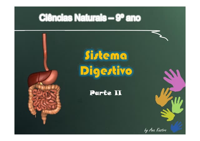 Sistema digestivo - morfofisiologia