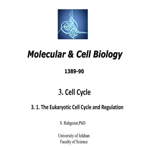 13.cell cycle -A- cell biology