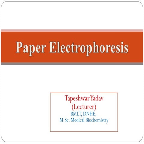 Paper electrophoresis