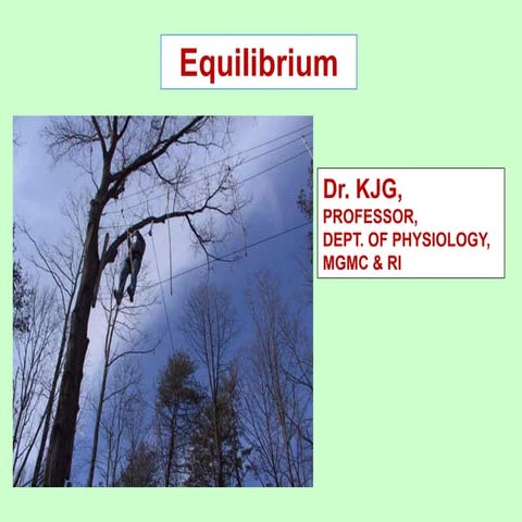 13.vestibular apparatus kjg