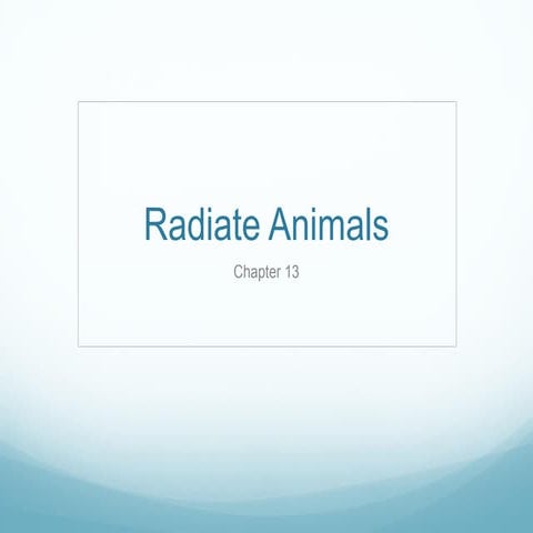 13. radiate animals