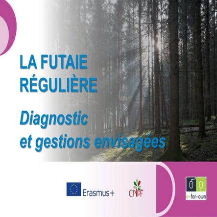la-futaie-irr-guli-re-diagnostic-et-gestions-envisag-es-pptx