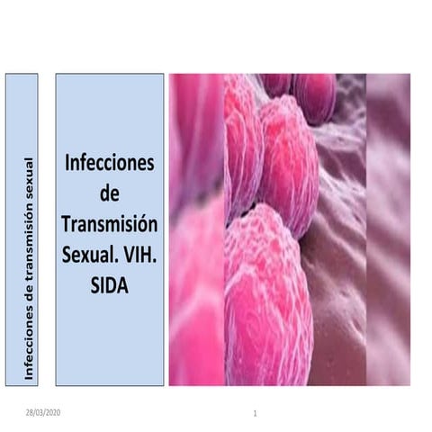 13 PPT INFECCIONES DE TRANSMISIÓN SEXUAL Y VIH  