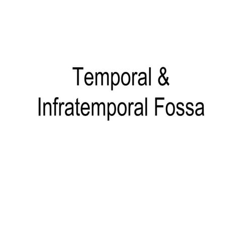 Temporal & infratemporal region