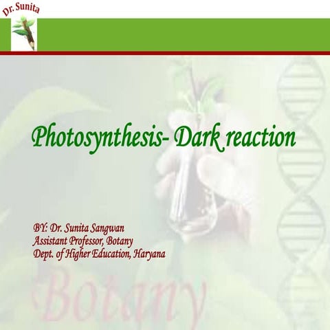 Photosynthesis - dark reaction