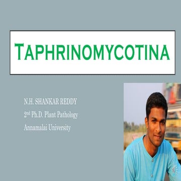 Taphrinomycotina PPT