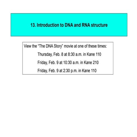 DNA&RNA.ppt
