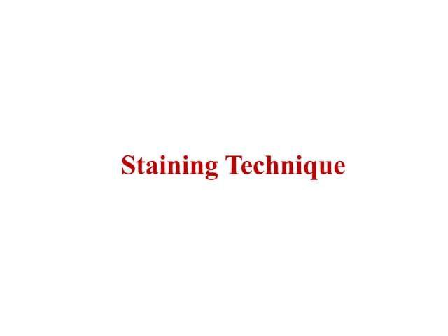 13.Staining technique.pptx