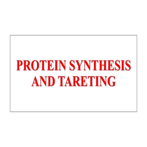 13. Protein synthesis and targeting (Biochemistry)