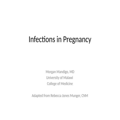 13. Infections-in-Pregnancy_1.pptx An overview