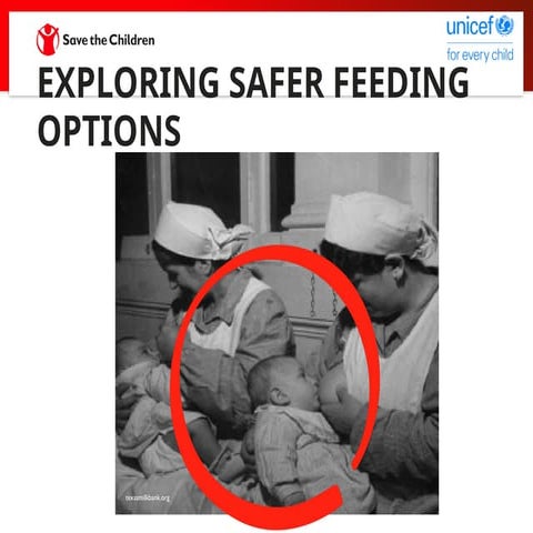 13. Presentation_Exploring Safer Feeding Options.pptx