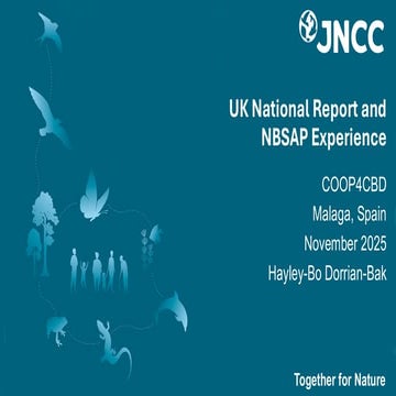 UK National Report and the NBSAP Experience