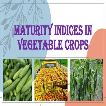 Rouging, Different stages of rouging, Harvesting, Threshing and Seed ...