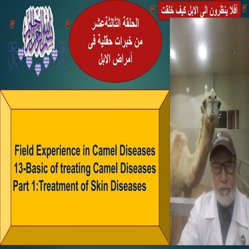 13-Basic of Treating Camel Diseases. Part 1-Treatment of Skin Diseases Prof D...