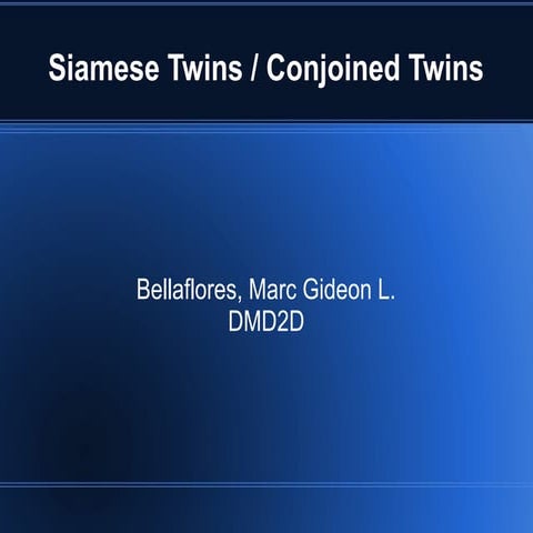 13. bellaflores   siamese twins
