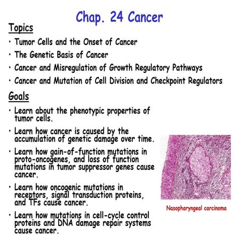 Mechanism of cancer 1-2.pptx