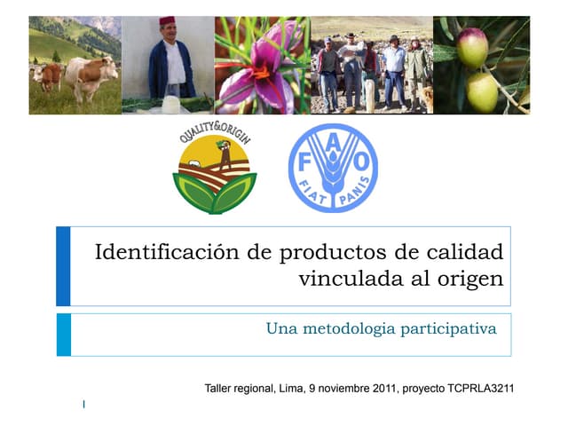 Presentación Emilie Vandecandelaere, FAO  (spanish)