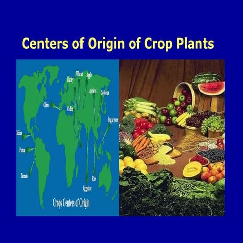 Origin of Crops