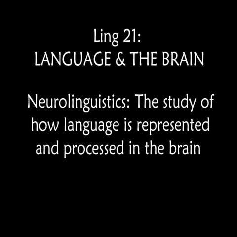 13-Ling-21---Lecture-3---neurolinguistics.ppt
