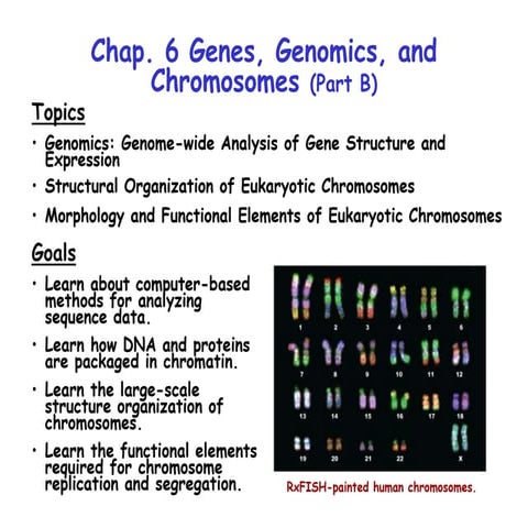 13-miller-chap-6b-lecture.ppt