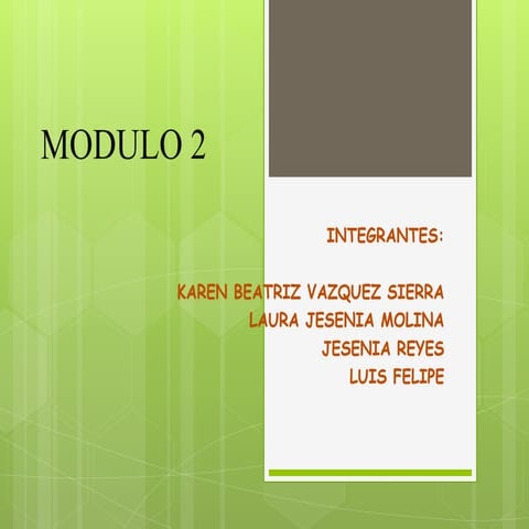 13.  modul o 2 puntos -isa