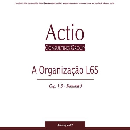 A organização Lean 6 Sigma 