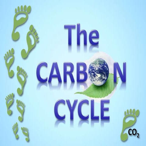 The Carbon Cycle by Tangstar Science