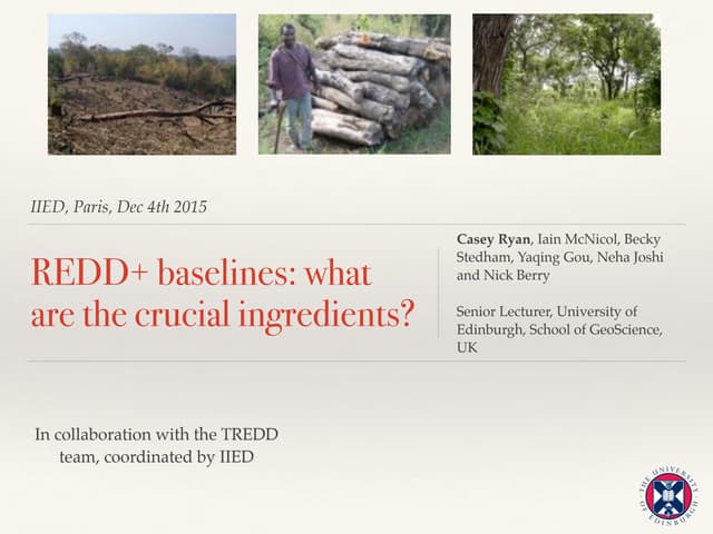 REDD+ baselines: what are the crucial ingredients?