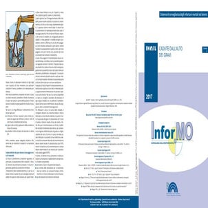 130  2017   inail-caduta-gravi