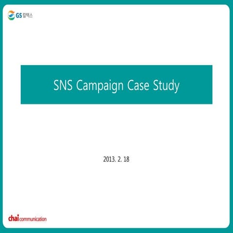 SNS 캠페인 Case 스터디 2013/02/18