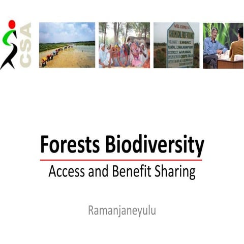 130318 forest biodiversity and abs | PPTX