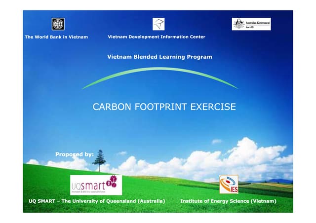 IES carbon footprint