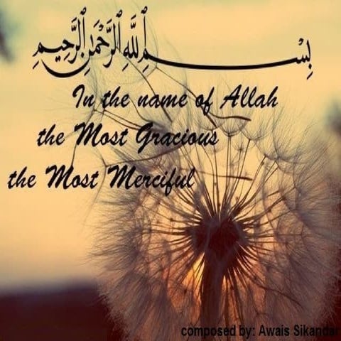 ROOF & WALL INSULATION