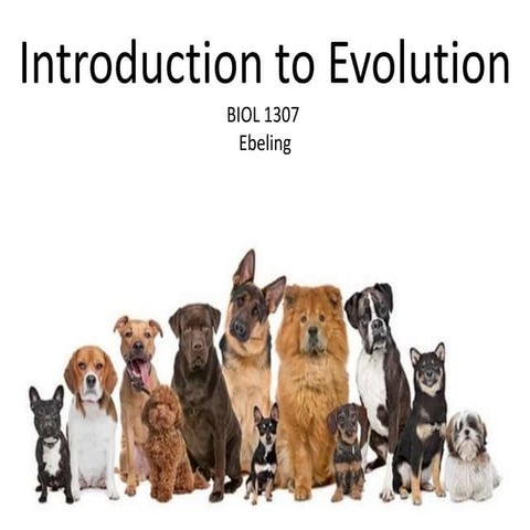 1307 intro to evolution