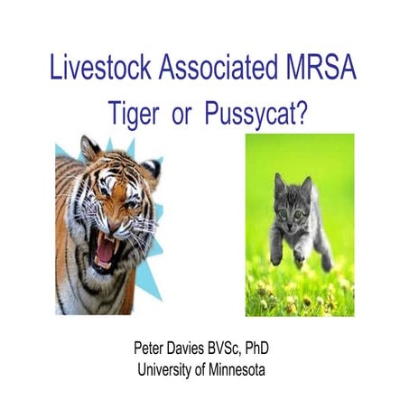 Dr. Peter Davies - Livestock Associated MRSA: Tiger or Pussycat?
