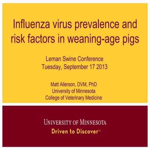 Matt Allerson - Swine influenza virus prevalence and risk factors in weaning-...