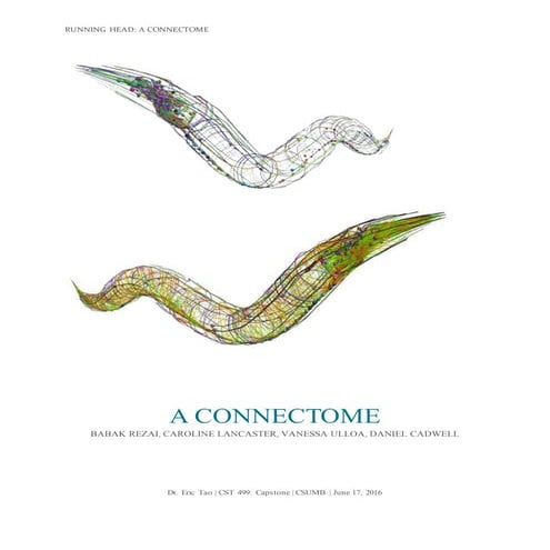 VEU_CST499_FinalReport