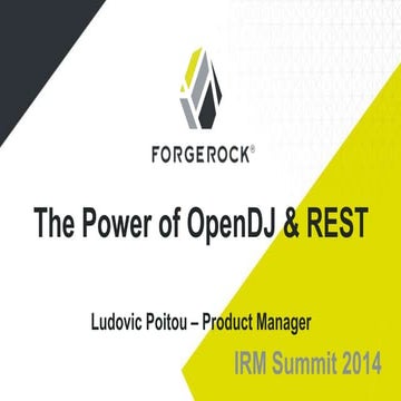 THE POWER OF OPENDJ AND REST