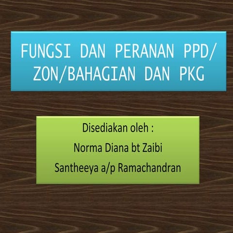 131605128 fungsi-dan-peranan-ppd