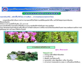 เกษตรอินทรีย์