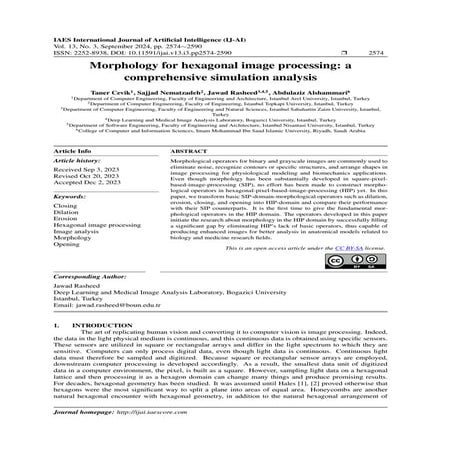 Morphology for hexagonal image processing: a comprehensive simulation analysis