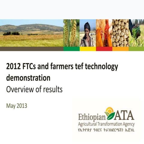 1327 -  FTCs and Farmer Tef Demonstration and Results 2012