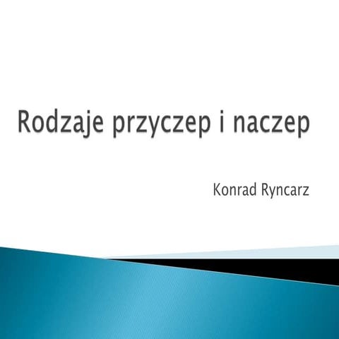 13(2) konrad ryncarz_impress