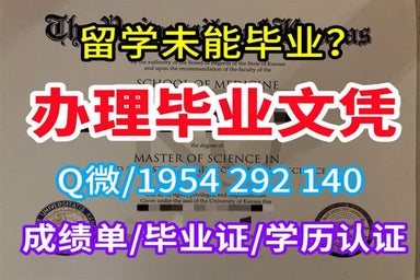 密苏里大学圣路易斯分校文凭认证真实留信网认证