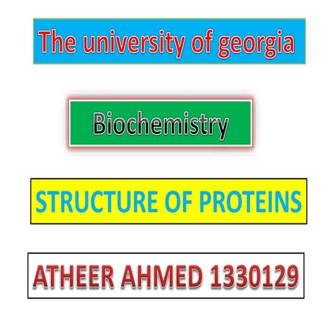 structure of proteins