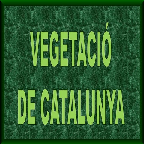 VEGETACIÓ DE CATALUNYA