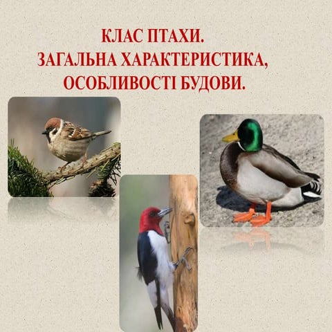 ИИИИ ИИИИИИИИИИИПРОМЗОНА ВАМААПРРООЛЛЛДЛДДООРРПАААПР | PPT