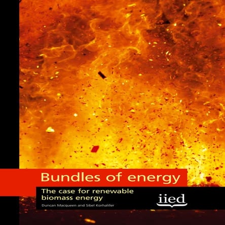 Biodiesel 2020 - Emerging Markets for Biocrude, Biodiesel, Renewable ...